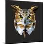 Owl-Lora Kroll-Mounted Art Print