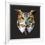 Owl-Lora Kroll-Framed Art Print