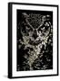 Owl-Cristian Mielu-Framed Art Print