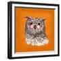 Owl-Bella Dos Santos-Framed Art Print