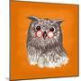 Owl-Bella Dos Santos-Mounted Art Print