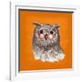 Owl-Bella Dos Santos-Framed Art Print