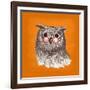 Owl-Bella Dos Santos-Framed Art Print