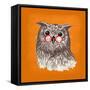 Owl-Bella Dos Santos-Framed Stretched Canvas