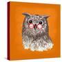 Owl-Bella Dos Santos-Stretched Canvas