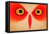 Owl-Johan Lilja-Framed Stretched Canvas