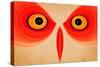 Owl-Johan Lilja-Stretched Canvas