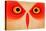 Owl-Johan Lilja-Stretched Canvas