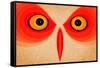 Owl-Johan Lilja-Framed Stretched Canvas