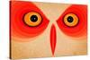 Owl-Johan Lilja-Stretched Canvas