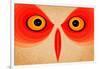Owl-Johan Lilja-Framed Giclee Print