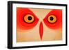 Owl-Johan Lilja-Framed Giclee Print