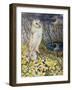 Owl-Joan Thewsey-Framed Giclee Print