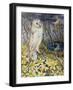 Owl-Joan Thewsey-Framed Giclee Print