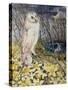 Owl-Joan Thewsey-Stretched Canvas