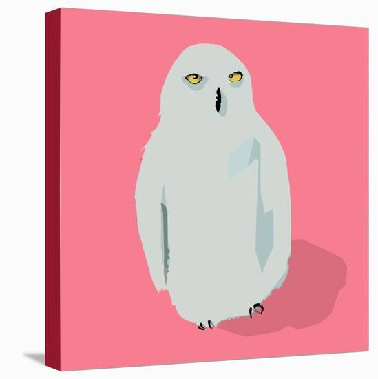 Owl-Thomas MacGregor-Stretched Canvas