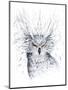 Owl-JoJoesArt-Mounted Giclee Print