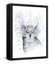 Owl-JoJoesArt-Framed Stretched Canvas