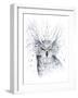 Owl-JoJoesArt-Framed Giclee Print