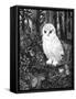 Owl-Geraldine Aikman-Framed Stretched Canvas