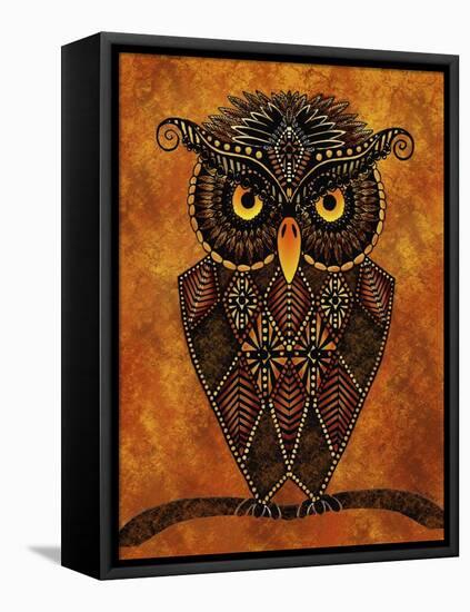 Owl-Tina Nichols-Framed Stretched Canvas