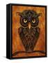 Owl-Tina Nichols-Framed Stretched Canvas