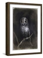 Owl-Andrea Mantegna-Framed Giclee Print