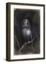 Owl-Andrea Mantegna-Framed Giclee Print