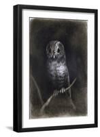 Owl-Andrea Mantegna-Framed Giclee Print