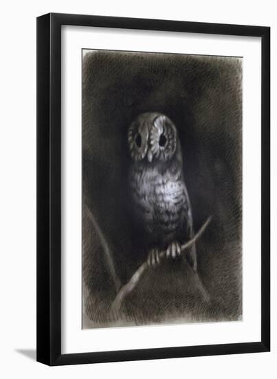 Owl-Andrea Mantegna-Framed Giclee Print