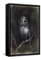 Owl-Andrea Mantegna-Framed Stretched Canvas