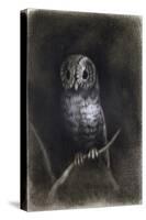 Owl-Andrea Mantegna-Stretched Canvas