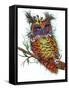 Owlette-Karrie Evenson-Framed Stretched Canvas