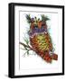 Owlette-Karrie Evenson-Framed Art Print