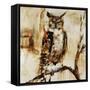 Owley-Jodi Maas-Framed Stretched Canvas