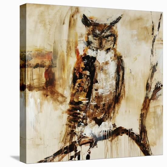 Owley-Jodi Maas-Stretched Canvas