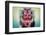 Owlfly-Donald Jusa-Framed Photographic Print