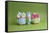 Owls and Tiny Boy Bunny-null-Framed Stretched Canvas