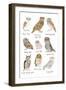 Owls in Glasses-Hanna Melin-Framed Art Print