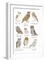 Owls in Glasses-Hanna Melin-Framed Art Print