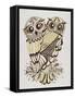 Owls in Sepia and Gold-Cat Coquillette-Framed Stretched Canvas