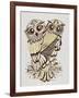 Owls in Sepia and Gold-Cat Coquillette-Framed Art Print