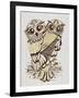 Owls in Sepia and Gold-Cat Coquillette-Framed Art Print