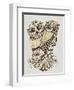 Owls in Sepia and Gold-Cat Coquillette-Framed Art Print