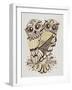 Owls in Sepia and Gold-Cat Coquillette-Framed Art Print