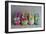 Owls Multi Color Brights Large Set-null-Framed Photographic Print