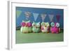 Owls Multi Color Brights-null-Framed Photographic Print