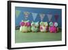 Owls Multi Color Brights-null-Framed Photographic Print