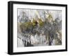 Owls Pathway II-Jodi Maas-Framed Giclee Print