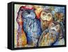 Owls-Oxana Zaika-Framed Stretched Canvas